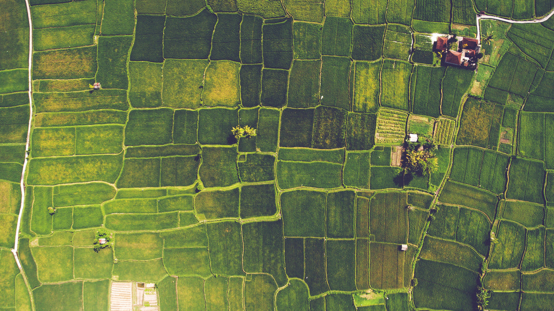 Agriculture