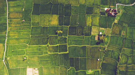 Agriculture